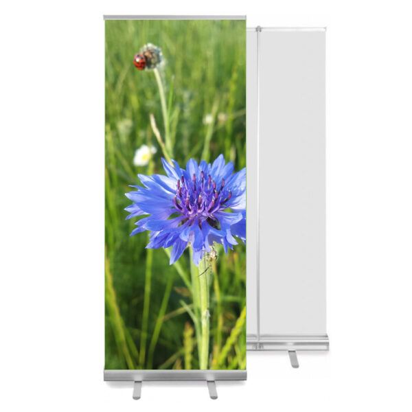 Roll-up stend ECO – 80cm | 85cm | 100cm
